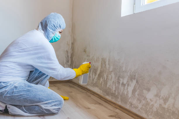 Licensed Mold Testing service in Elizabeth, NJ - WQB Mold Removal
