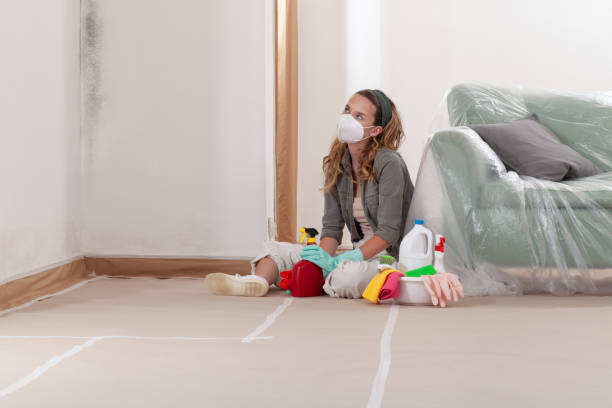 Reliable Mold Testing contractor in Elizabeth, NJ by WQB Mold Removal
